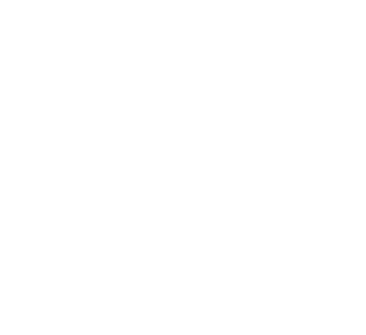 Submerge Festival